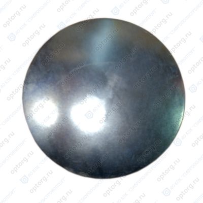 3901969 Заглушка распредвала в блоке цилиндров Cummins QSC 8.3L 