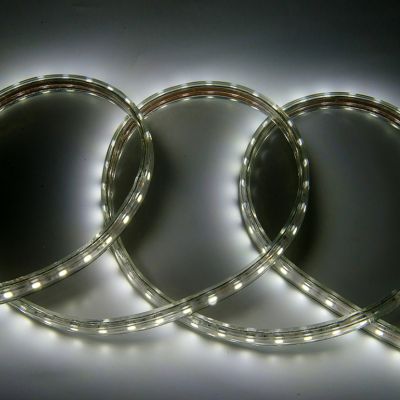 Лента светодиодная General (504715) GLS-5050-6 50м 60 LED 14,4 Вт/м 6500К 220В IP67