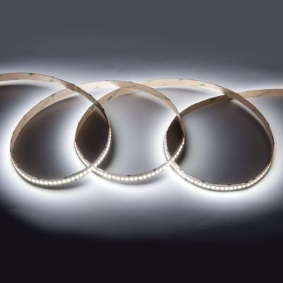 Лента светодиодная General (501450) GLS-2835-6 5м 240 LED 19,2 Вт/м 6500К 12В IP20 