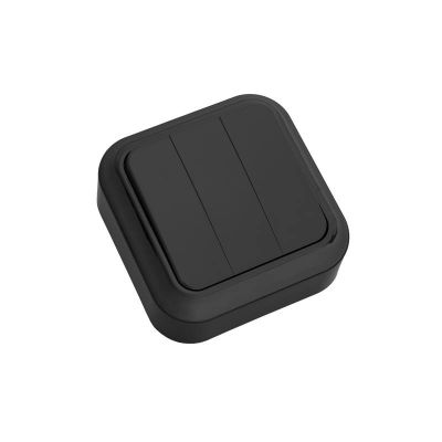 Выключатель А056-137 3КЛ черный о/у "Пралеска" Светоприбор 