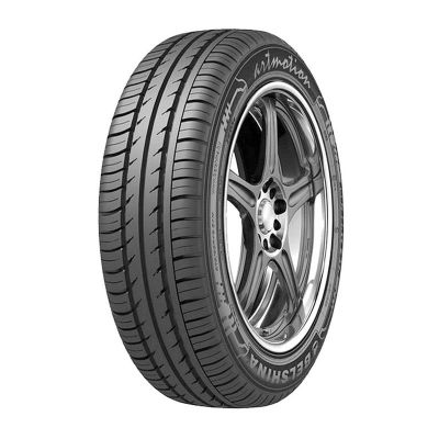 Шина 225/55R16 Belshina Бел-331, 95V, б/к, летняя, (Белшина), Беларусь, (остаток 1 шт)