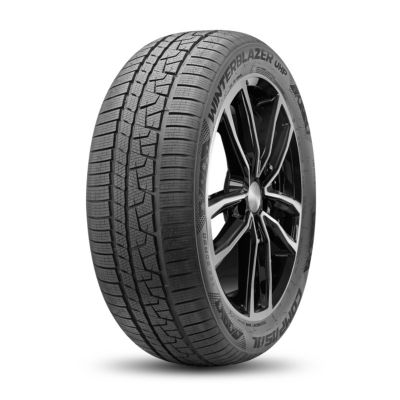 Шина 205/50R17 COMPASAL Winter Blazer UHP, XL 93V, б/к, зимняя, M+S, (Компасал), Китай