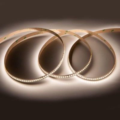 Лента светодиодная General (501250) GLS-2835-4 5м 240 LED 19,2 Вт/м 4000 К 12 В IP20 