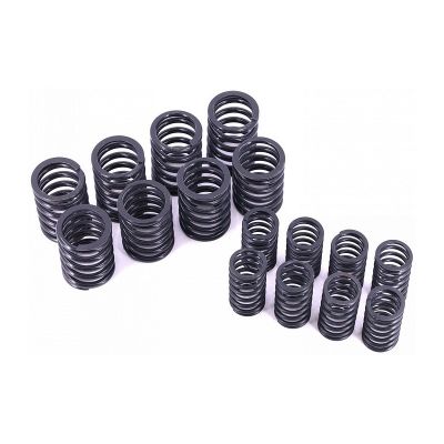 RG24-1007020/21 Пружина клапана к-т (8 нар. 8 внутр.) для а/м с дв.402 Г-3302,3110,3102 УМЗ 4216.421 Riginal