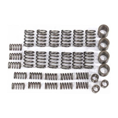 RG406-1007020/21 Пружина клапана к-т (16 нар.16 внутр.) для а/м с дв.406-409 Г-3302-3221, УАЗ-3163 Riginal