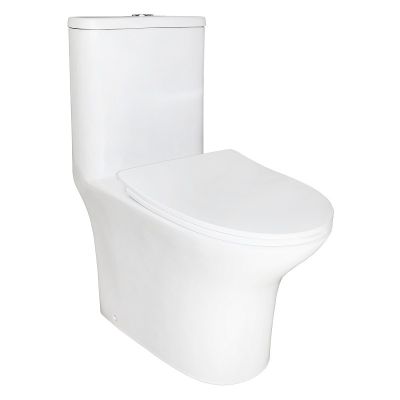 Унитаз-компакт Azario  Sente безободковый моноблок с функцией биде, AZ-8614B универсальный выпуск, двухрежимная арматура, нижний  подвод, сиденье