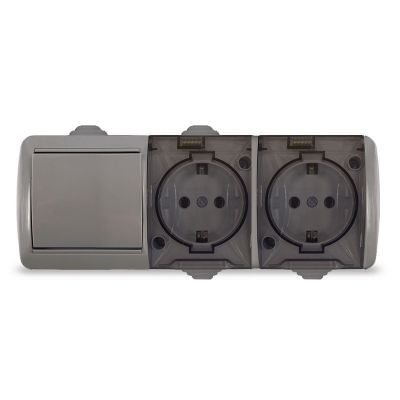 Блок "КЛИО" (K2238-Gr) (Выкл 1КЛ и 2-ая розетка с прозрачной крышкой з/к ) серый IP54 УНИВЕРСАЛ