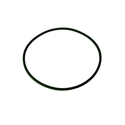 R910.10-1303124-10 Кольцо уплотнительное водяного насоса (помпы) КАМАЗ-54901 "КАМА Дизель"