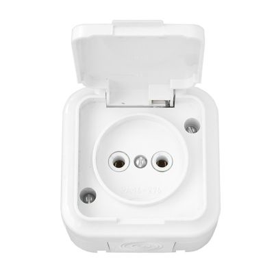 Розетка "ПРАЛЕСКА АКВА" РА16-296 1-ая белая с крышкой IP54 BYLECTRICA