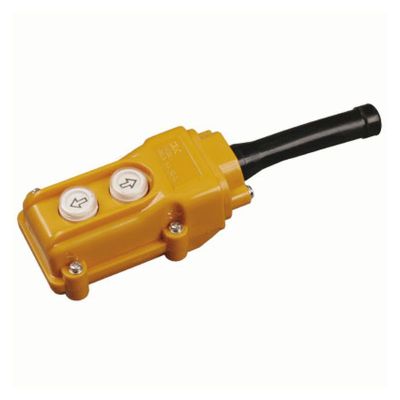 Пульт управления ПКТ-61 на 2 кнопки IP54 IEK (BPU10-2)