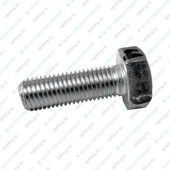 1/13069/21 БОЛТ М 10*1,25*30 (г.Белебей)