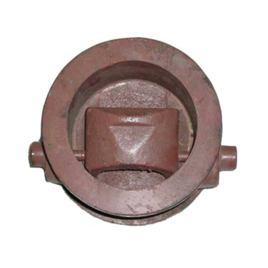 Клапан обратный 19ч21бр Ду-80 Ру-16 