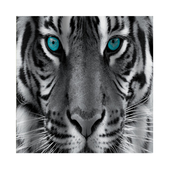 02-20 ШТОРА В  ВАННУЮ КОМНАТУ 180*200 см тигр "BRIMIX" Китай