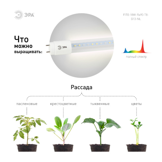 Лампа ЭРА FITO-NL 18 Вт T8 G13 1200 К полного спектра 
