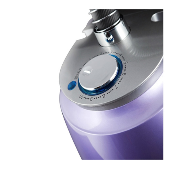 Отпариватель электрический CENTEK CT-2385 2200 Вт  2,5 л.