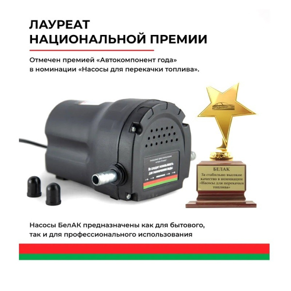 Насос непогружной (12В., 240 л./час.) для замены/откачки моторного масла, для перекачки дизельного топлива, масла, керосина (БАК.00132 ПЛУТОН "БелАвтоКомплект") электрический 12 Вольт