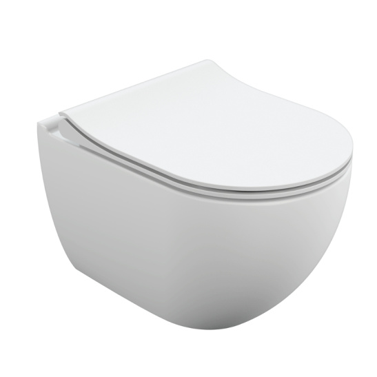 Комплект: BRASCO SMART CO DPL EO slim (подвесной унитаз BRASCO SMART+инсталляция VECTOR+сиденье + кнопка ESTETICA пластик белый) (г.Сызрань)