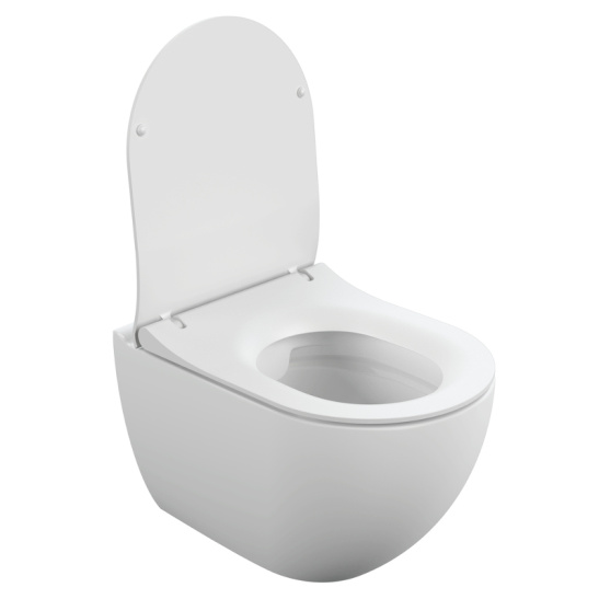 Комплект: BRASCO SMART CO DPL EO slim (подвесной унитаз BRASCO SMART+инсталляция VECTOR+сиденье + кнопка ESTETICA пластик белый) (г.Сызрань)