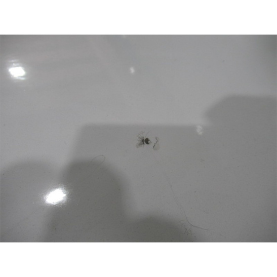 Ванна стальная 1700x700x400 мм, без ножек, белый, Donna Vanna №12, уцененная (г. Екатеринбург)