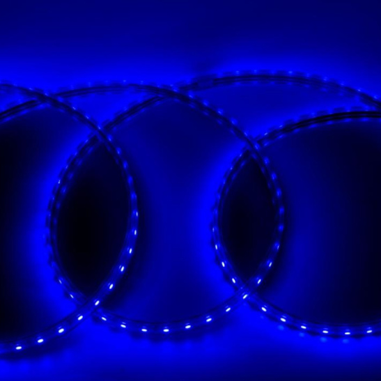 Лента светодиодная General (504816) GLS-5050-B 50м 60 LED 14,4 Вт/м синяя 220В IP67