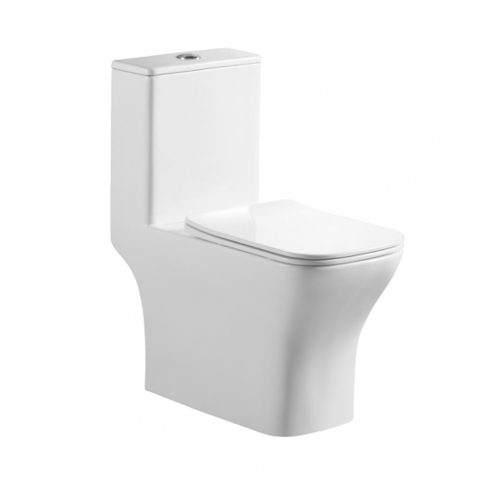 Унитаз-компакт Redo R17 моноблок горизонтальный выпуск, двухрежимная арматура, нижний  подвод, сиденье