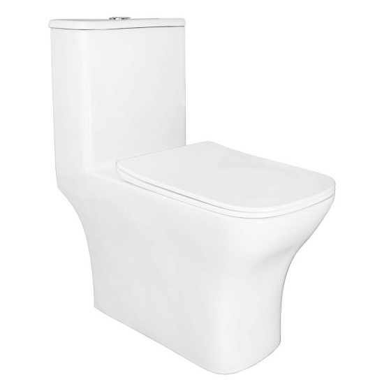 Унитаз-компакт Azario  Lodi безободковый моноблок с функцией биде, AZ-8617B универсальный выпуск, двухрежимная арматура, нижний  подвод, сиденье