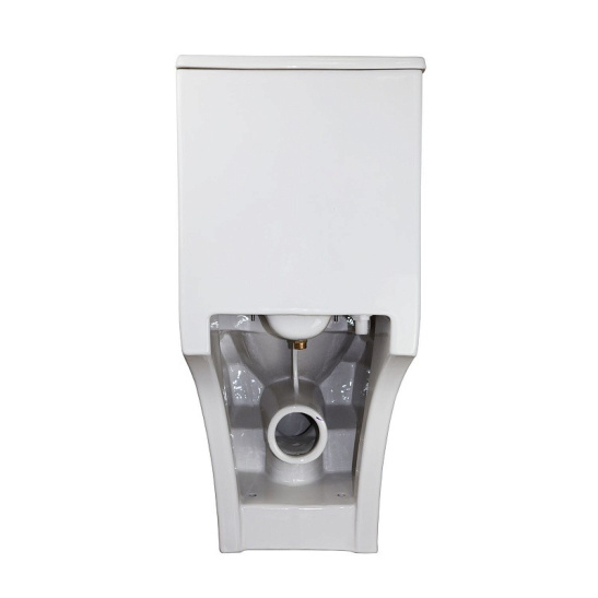 Унитаз-компакт Azario  Lodi безободковый моноблок с функцией биде, AZ-8617B универсальный выпуск, двухрежимная арматура, нижний  подвод, сиденье