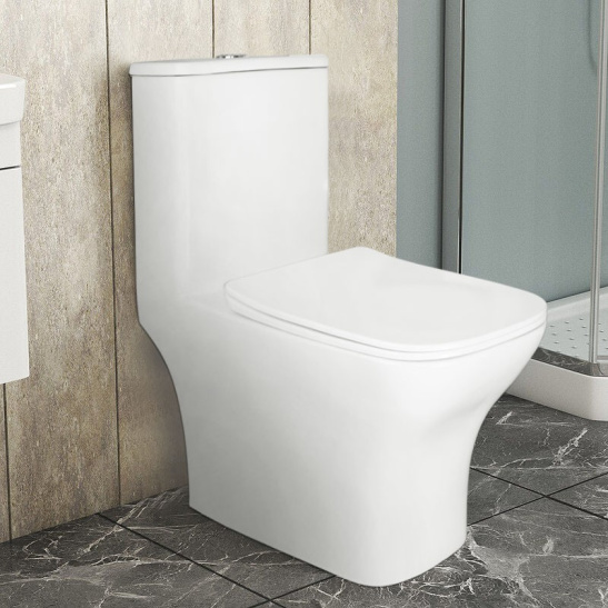 Унитаз-компакт Azario  Lodi безободковый моноблок с функцией биде, AZ-8617B универсальный выпуск, двухрежимная арматура, нижний  подвод, сиденье