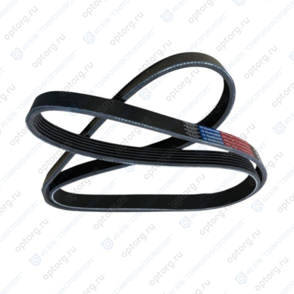 Ремень поликлиновый 6РК-1703/1705  привода генератора Евро(740.20-1307170Р/6РК-1705, 86038642, 86033868) Rubena ,Чехия