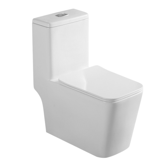 Унитаз-компакт Redo R16 моноблок горизонтальный выпуск, двухрежимная арматура, нижний  подвод, сиденье