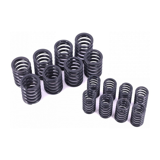 RG24-1007020/21 Пружина клапана к-т (8 нар. 8 внутр.) для а/м с дв.402 Г-3302,3110,3102 УМЗ 4216.421 Riginal