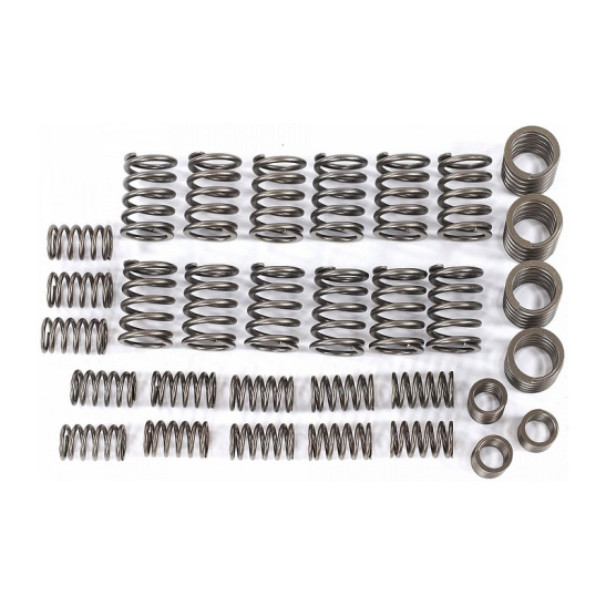 RG406-1007020/21 Пружина клапана к-т (16 нар.16 внутр.) для а/м с дв.406-409 Г-3302-3221, УАЗ-3163 Riginal