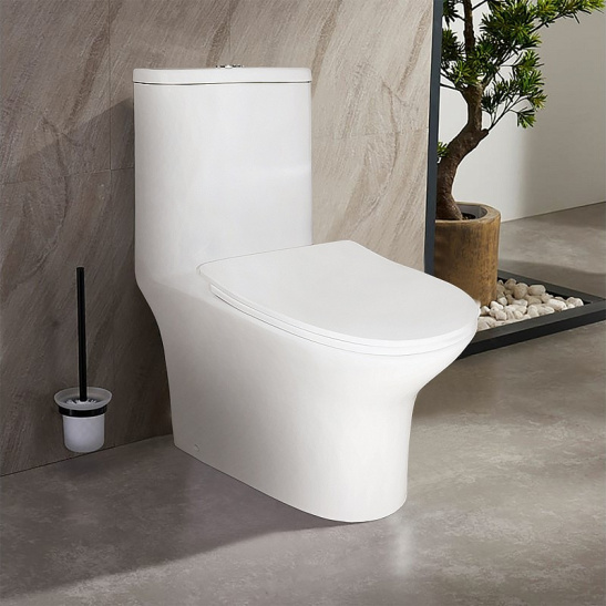 Унитаз-компакт Azario  Sente безободковый моноблок с функцией биде, AZ-8614B универсальный выпуск, двухрежимная арматура, нижний  подвод, сиденье