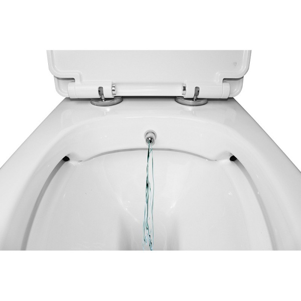 Унитаз-компакт Azario  Sente безободковый моноблок с функцией биде, AZ-8614B универсальный выпуск, двухрежимная арматура, нижний  подвод, сиденье